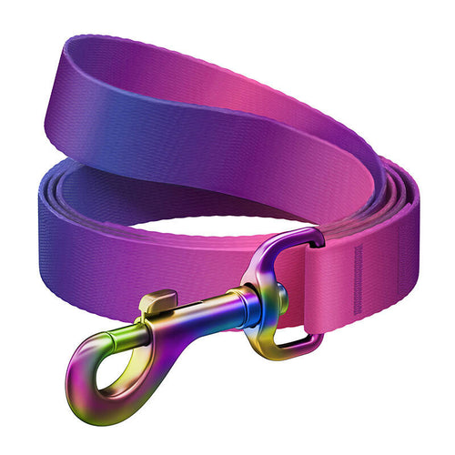 Waudog - Laisse pour chien dégradée rPET 20 mm x 122 cm (violet) : laisse Waudog dégradée violette de 20 mm
