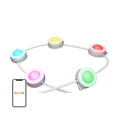 Lepro - Éclairage extérieur connecté 30 points lumineux, 15,3 m