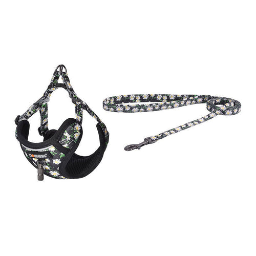 Dogness - Ensemble harnais et laisse 1,5 m pour chien (multicolore) - visuel 1
