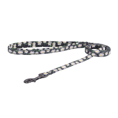 Dogness - Ensemble harnais et laisse 1,5 m pour chien (multicolore) : nylon attache zinc