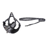 Dogness - Ensemble laisse 1,5 m et harnais pour chien (noir et blanc) : ensemble laisse et harnais Dogness noir et blanc