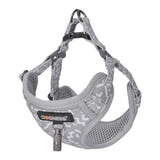 Dogness - Ensemble laisse 1,5 m et harnais pour chien (gris clair) : harnais gris clair doublé de mesh