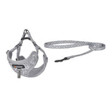 Dogness - Ensemble laisse 1,5 m et harnais pour chien (gris clair) : ensemble laisse et harnais Dogness gris clair