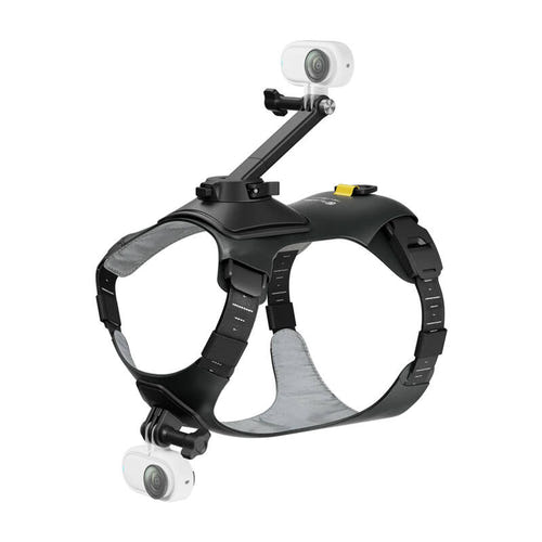 Insta360 CINSBAVX - Harnais pour animal taille S pour GO 3 et GO 3S : fixation au poitrail et sangles réglables