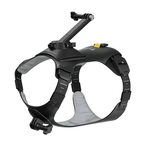 Insta360 CINSBAVW - Harnais pour animal taille M pour GO 3 et GO 3S : harnais Insta360 taille M pour caméra GO 3