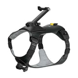 Insta360 CINSBAVW - Harnais pour animal taille M pour GO 3 et GO 3S : bases, fixations et vis papillon fournies