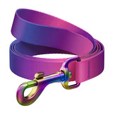 Waudog - Laisse pour chien dégradée rPET 20 mm x 122 cm (violet) : laisse Waudog dégradée violette de 20 mm
