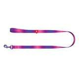 Waudog - Laisse pour chien dégradée rPET 20 mm x 122 cm (violet) : détail de la sangle rPET et de la boucle