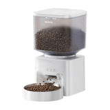 Rojeco - Distributeur de croquettes connecté 4,5 L Wi-Fi : distributeur de croquettes connecté Rojeco 4,5 L avec sa gamelle en inox