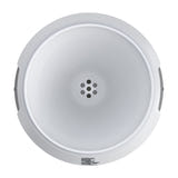 RainPoint HCS012ARF - Pluviomètre connecté sans fil, précision ±0,1 mm : pluviomètre posé à plat dans un jardin