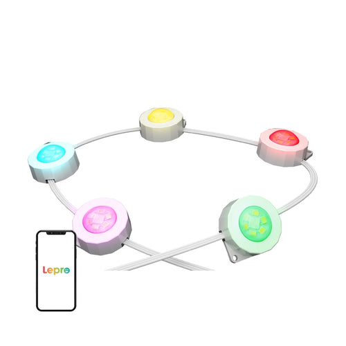Lepro E1-60 - Éclairage extérieur connecté 60 points lumineux, 30,6 m : grande maison éclairée par les points lumineux Lepro E1-60