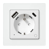 AVATTO WOT20-FR - Prise connectée encastrée Wi-Fi 16 A avec port USB-C : intégré