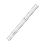 bebird T15 - Otoscope connecté Wi-Fi 30 ips blanc : embouts et curette acier