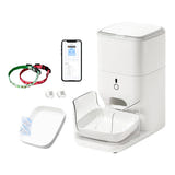 CATLINK Fresh 2 F04 PRO - Distributeur de croquettes connecté 4 L avec reconnaissance RFID : en situation