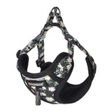 Dogness - Ensemble harnais et laisse 1,5 m pour chien (multicolore) : doublure mesh