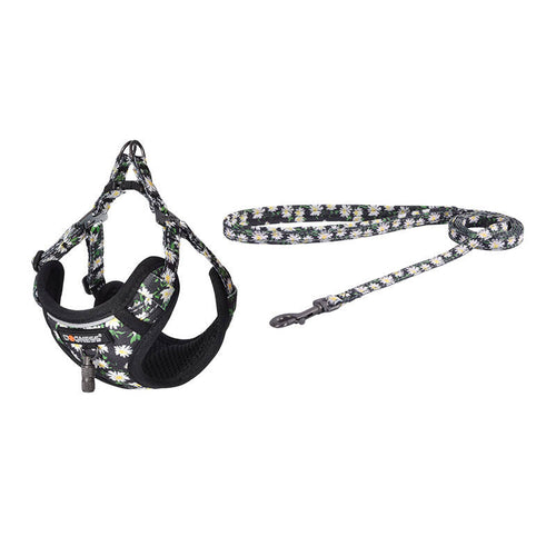 Dogness - Ensemble harnais et laisse 1,5 m pour chien (multicolore) - visuel 1