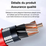 EAFC - booster de démarrage 12 V essence jusqu'à 3,0 L avec lampe LED et USB : format compact