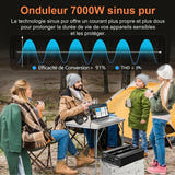 EAFC Convertisseur 12 V vers 220 V à onde sinusoïdale pure - 4000 W crête, écran numérique : 12 V 220 V eafc vue ensemble