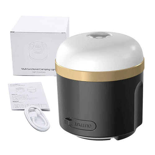 EcoFlow - lampe de camping rechargeable et batterie externe IP65