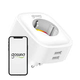Gosund SP112 - Prise connectée Wi-Fi 16A avec 2 ports USB : emballage
