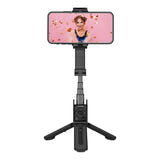 HOHEM iSteady Q - Stabilisateur pour smartphone avec perche 50 cm et télécommande