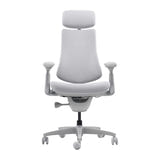 LiberNovo Omni Dynamic - Chaise ergonomique à dossier dynamique, assise 45 cm, grise