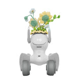 Loona Costume tricoté Tournesol - Habillage en maille pour robot Loona Premium, vendu seul : installé sur le robot