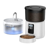 Rojeco Button - Distributeur de croquettes 3 L et fontaine 2 L - visuel 1