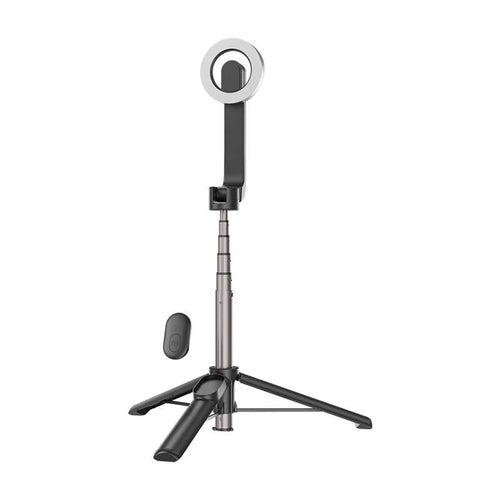 Telesin WS-22005 - Perche selfie magnétique 69 cm pour iPhone 12 à 16