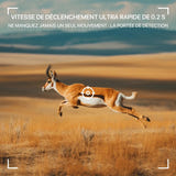 WONSDAR - caméra de chasse 4G solaire 2K, détection PIR : extérieur
