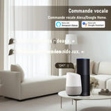 Zemismart ZM87E : motorisé zemismart zm87e télécommande